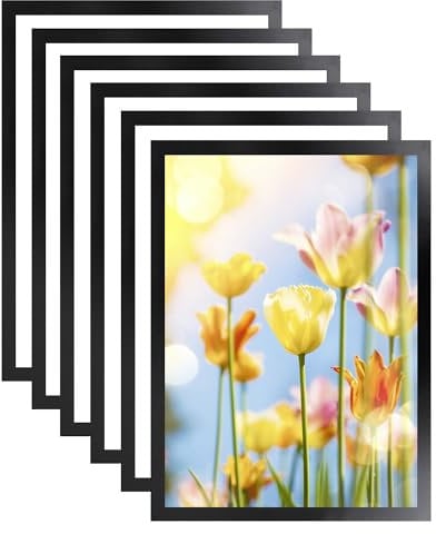 WENLISELL 6 Pcs A3 Magnetic Display Frame, Self Adhesive Magnetic Photo Frame for Wall, Black Magnetic Paper Holder for Photos, Notices, Documents, License, Arts