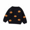 Fledermaus Elsa Kostüm Mädchen Baby Unisex Halloween Pullover Langarm Rundhalsausschnitt Kürbis Buchstabe Stickerei Strick Pullover Baby Halloween Sweatshirt Halloween Geist Pumpkin Strick Pullover