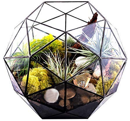 Terrarium moderne en verre géométrique pour rebord de fenêtre de table