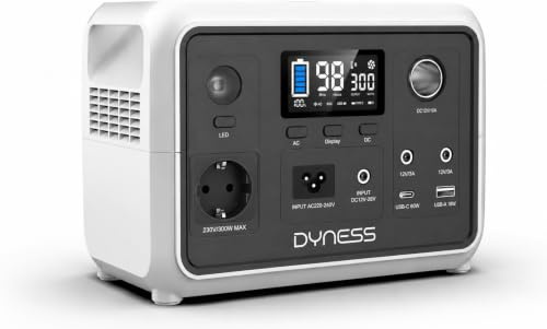 Dyness 300W Tragbares Powerstation, 256Wh AC-Steckdose LiFePO4 Batterie Solargenerator mit 6 Ausgängen & 4 Ladeoptionen, Notstrom für Camping, Wohnmobil, Reisen & Notfall