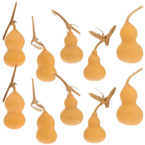 Adornos de Calabaza Mini 10 Piezas, Calabaza Natural Khaki | Tacto Cómodo, Estilo Surtido Artesanal, Ligeros y Fáciles de Colocar, para Tiendas y Fiestas