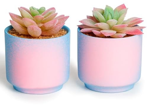 ZENIDA Decorazione da scrivania rosa e blu, piante grasse finte con vaso, piante artificiali, piccole piante finte per ufficio, scrivania, bagno, camera da letto, decorazione per ufficio per donne,