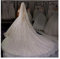 HYPAW Kathedrale Brautschleier Brautschleier Weicher einreihiger Brautschleier mit Kamm Glitzer Hochzeit Zubehör Haarschmuck für die Braut (Color : White, Size : 300cm)