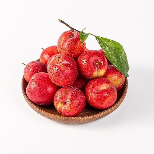 100 pcs pflaumenbaum winterhart samen pflanztopf obstbaum Pflaumen pflaume kleine geschenke deko wohnzimmer modern obstbäume baumsamen bonsai baum säulenobstbäume dekopflanzen steingartenpflanzen
