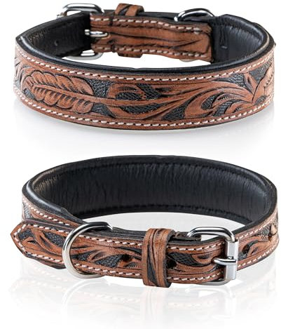 Jack & Russell Unikat Hundehalsband aus Leder, Hand-geschnitzt und gepolstert – Halsband aus Büffelleder, Hunde Lederhalsband Solitaire (L/40-49,5)