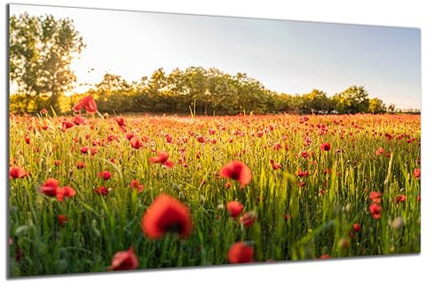 DARO Design - Wand-Bild auf 6mm HDF 70x50 cm Mohnblumen Blumenwiese - Wand-Deko Bilder Geschenk