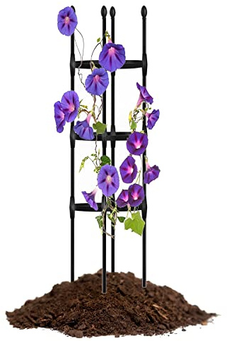 Rosengartenspalier, Pflanzturm, Gartengitter für Kletterpflanzen, Pflanzenstützpfähle, Tomatenkäfig für Tomaten, Clematis, Rosen, Schwarz/Weiß (Farbe: Schwarz, Größe: 170 x 30 cm)