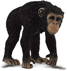 Collecta – col88493 – Schimpanse weiblich – Größe M