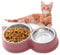 HUTVD Katzennäpfe Katzenschüssel Set, 30cm Edelstahl Doppel Napf, rutschfeste Katzennapf aus Edelstahl, Fressnapf Katze Wasserschale, Katzennapf erhöht Näpfe und Tränken für Haustier（Rosa）