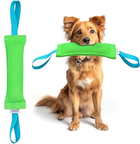 YES4QUALITY Dog Bite Tug Toy - 30x9cm, Green - Durable Pull Toy with 2 Strong Handles - Tough Nylon Bite Pillow for Small to Medium Dogs - Ideal for Tug of War, Fetch, K9, Puppy Training & Play