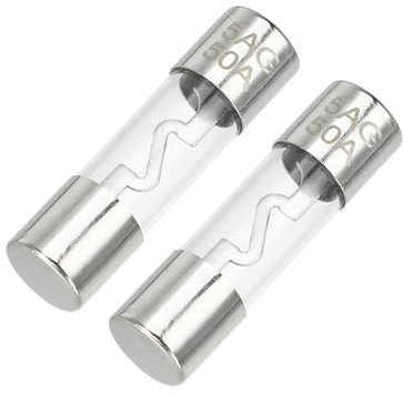 Partuto 2 Stück 50A Universal AGU Glassicherung - KFZ-Sicherungsröhre zum Schutz der Stromversorgung - Metall, silberfarben