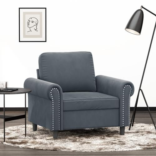 Willood Sessel, Sofa Relaxsessel mit gepolstertem Sitz Armlehnen, Fernsehsessel Loungesessel Metallgestell, Polstersessel Ruhesessel Design Sofa Stuhl Dunkelgrau 60 cm Samt