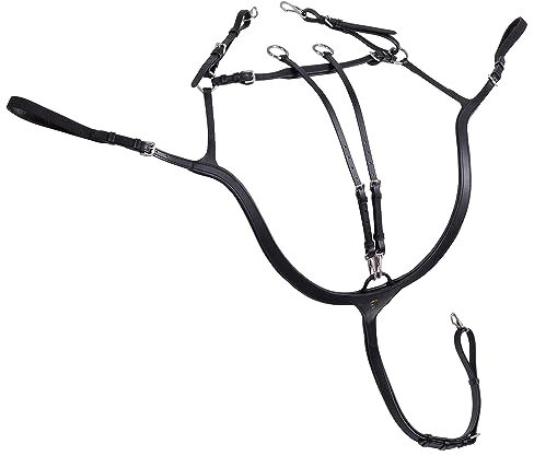 SUNRIDE Vorderzeug Ascot aus Echtleder mit Martingal - für Pferde - als 5-Punkt und 3-Punkt nutzbar (Pony, schwarz)