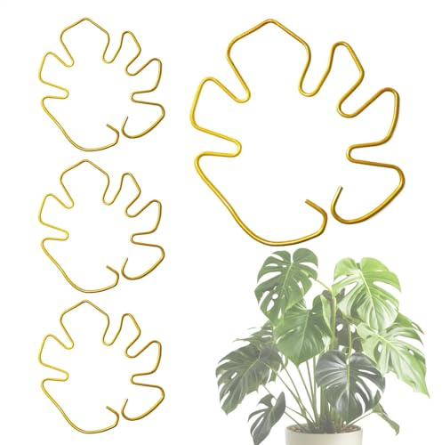 STEM unterstützt in Innenpflanzen, Monstera Plant Support Hauspflanze