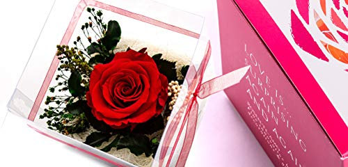 Rosen-Te-Amo® | konservierte ewige Rose | duftend | handgefertigt | echte Deko-Foliage | Geschenkbox | feines Design | Infinity Rosen-Box & Schmuck| Geschenke für Frauen & Deko Weihnachten