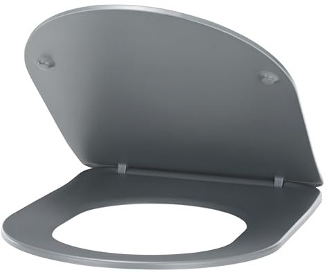 Abattant WC couleur Anthracite universel clipsable/nettoyage facile - lunette de toilettes Thermodur extra plat frein de chute forme D NOYON & THIEBAULT