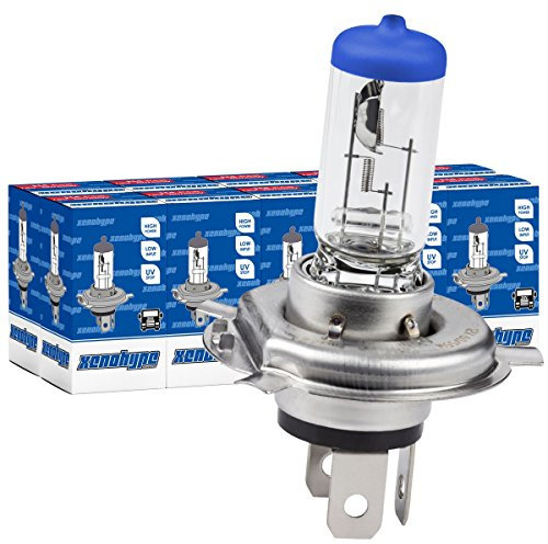 XENOHYPE 10x H4 Classic Halogen LKW Lampe 24V 75/70 Watt P43t
