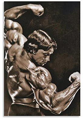 HAPPOW Poster Wandkunst Dekor für Zuhause Schlafzimmer 40 x 60 cm Modern Leinwand Wandmontage ohne Rahmen Cartoon Motiv von Arnold Schwarzenegger