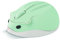 Wireless Mouse Cute Hamster Shape Optical Mice Green Mouse,1200 DPI Noise Reduction Ultra Portable Travel Mice,2.4 GHz with USB Unifying Receiver for PC Mac Laptop Computer Kids Girl School Gift