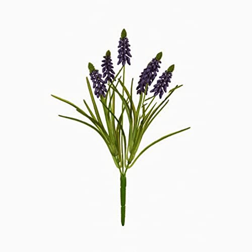 FloristryWarehouse Künstlicher Strauß aus Muscari oder Traubenhyazinthe, 31 cm, Violett