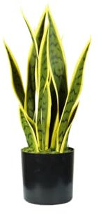 Avilia Pianta di Sansevieria Artificiale in Polietilene con 12 Foglie, Altezza 45 cm, Pianta Finta da Interno, Decorazione Casa e Ufficio