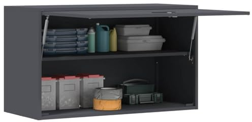 vidaXL Wandschrank für die Garage mit Gasdrucklift-Tür Anthrazit