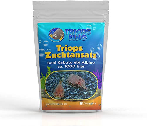 Triops King Triops Beni Kabuto EBI Albino Urzeitkrebse Zuchtansatz mit Urzeitkrebs-Eiern/Zysten Deutschland - Züchte Deine eigenen Urzeitkrebse bei dir zu Hause im Aquarium (1000 Eier)