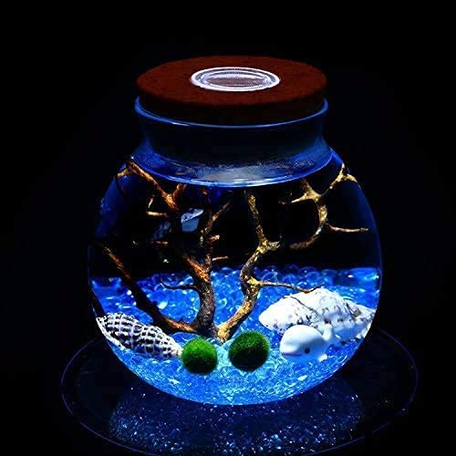 Ecosides LED Aquarium Marimo Kit,Creative Led Night Light Micro Landscape Eco Bottle Glass Terrarium Globe Jar,With Living Moss Balls,Pebbles,Seashell,Black Fan Coral,Gift for Christmas,Wedding Event
