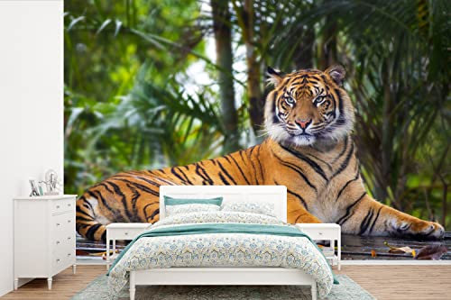 MuchoWow Papier peint Tigre - Animaux - Forêt - Jungle Papier peint photo 600x400 cm Papier peint imprimé