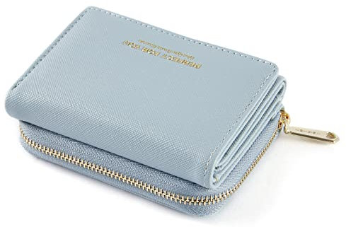 ANYWN Geldbörse Damen klein, Geldbeutel Damen klein, kleines Portemonnaie Damen, Geldtasche klein Damen mit Große Kapazität, Elegante und Süße Damen Geldbeutel mit Großes Münzfach HellBlau
