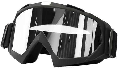 ANXJLEO Motorradbrille, Anti-Nebel Staubdicht Motorrad Schutzbrille MTB ATV (Durchsichtig)