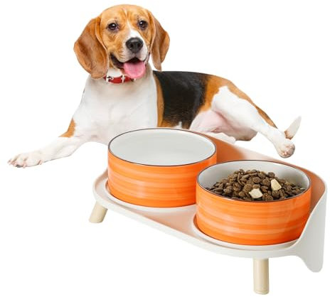 Elevated Ceramic Dog Bowl Set - Raised Double Dishes with Splash-Proof Stand - Vibrant Whorl Series - Food & Water Bowls for Small/Medium Dogs - 2 Cups (27 fl oz) - Orange