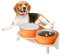 Hunde Napfset Hundenapf Set Erhöht - Doppelnapf Keramik mit Spritzschutz Ständer - Bunte Spirals Hundenäpfe für Futter und Wasser - Ideal für Kleine bis Mittelgroße Hunde - 2 x 800 ml - Orange