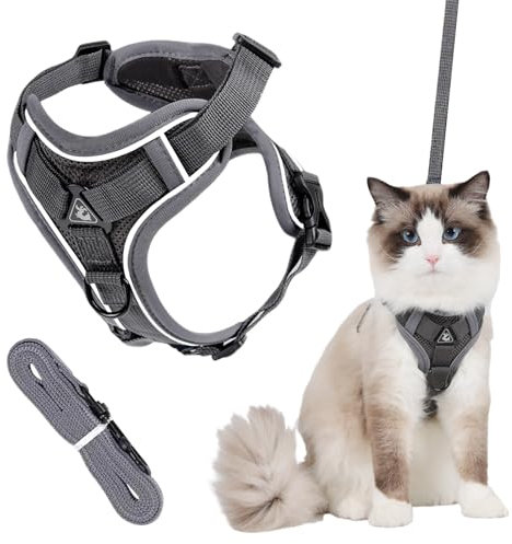 Verstellbares Katzengeschirr Ausbruchsicher, Katzengeschirr und Leine Set, Katzenweste Ausbruchsicher Atmungsaktive Katzenlaufleine zum Gehen, Grau Katzen Leine mit Reflektierend Streifen