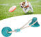 Thonlai Suction Cup Dog Tug Toy, Teeth Cleaning Chewing Interactive, Puppy Pull Toy, Interactive Dog Toys for Yard Home (Green Ball Shape)
