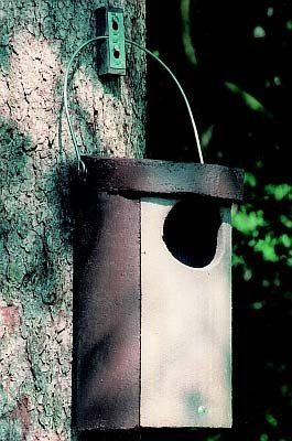 Schwegler Eulenhöhle Typ Nr. 5 ohne Marderschutz, Vogelhaus, Braun, Holzbeton, Witterungsbeständig, Atmungsaktiv, Waldkauz, Hohltaube, Dohle, 11 x 12 cm, 44 x 25 cm, 9.2 kg
