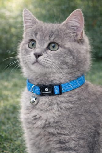 katzenhalsband - Kitten Elza blau 15–22 cm – elastisches Nylon reflektierend mit Glöckchen