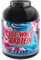 IronMaxx 100% Whey Protein Pulver 2350g - Kirsche Joghurt - High Protein Shake mit BCAAs und EAAs für Muskeltraining und Fitness