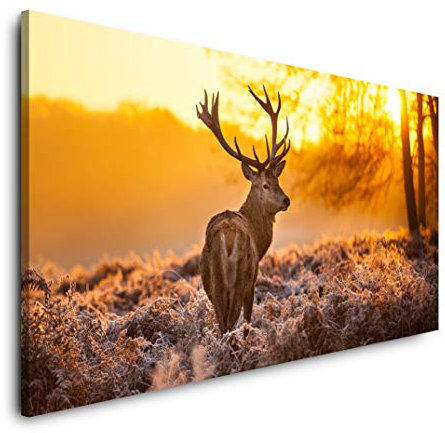 Hirsch im Wald 120x 60cm Panorama Leinwand Bild XXL Format Wandbilder Wohnzimmer Wohnung Deko Kunstdrucke