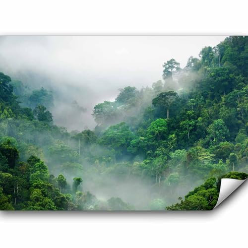 murando Fototapete selbstklebend Dschungel 343x256cm Foto Tapete Tapetenfolie Möbelfolie Wandverkleidung Wandtapete Motivtapeten Bildtapete Wohnzimmer 3d Effekt Modern Natur Wald Nebel Urwald