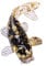 Kleines Glasornament Fisch Harz Figur Bunte lebensechte Fischskulptur Briefbeschwerer Glas Ornament Statue Bunte Wassertiere Fischtank Ornamente Auto Armaturenbrett Ornament Home Büro Desktop Ornament