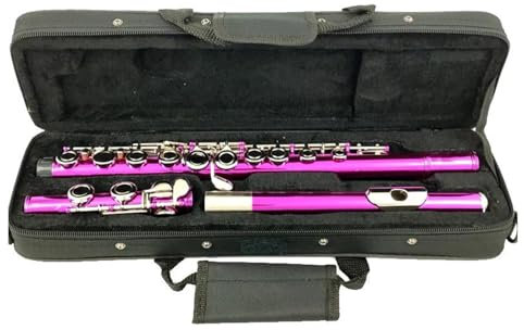 Einsteiger-Flöteninstrument 16-Loch-Flöte Querflöte Instrument