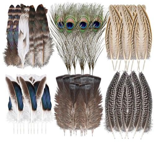 TNEDFOD 48 Stück Federn zum Basteln, Bastelfedern-Dekorationen, Natur Federn Pfauenfedern Echt Federn Deko für Hochzeit Traumfänger, Party, Kostüm, Dekoration, Federn zum Basteln, DIY