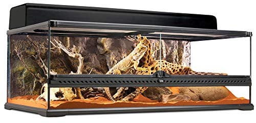 Exoterra Terrarium en Verre pour Reptiles et Amphibiens 90 x 45 x 30 cm