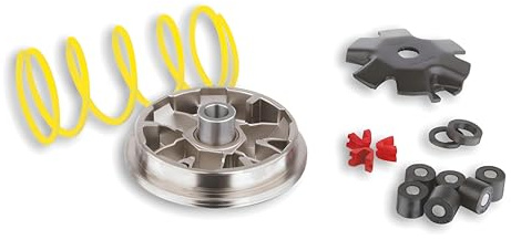 Variator Malossi Multivar für Piaggio Sfera/Zip (Bj. 91-94), Gegendruckfeder: Weiss, Gewichte: 16x13mm - 6,00gr | Gewichte 16 x 13 mm, Gegendruckfeder, OEM 51 7081, 517081 kompatibel mit Piaggio NRG 50 LC Wasser