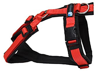 anny-x Brustgeschirr Fun schwarz rot - Gr. L
