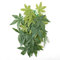 VIFERR Künstliche Pflanze Blätter Aquarium Wasserpflanzen Hängende Pflanzen Grünes Gras mit Saugnapf für Reptilien Terrarium Dekoration (50cm)