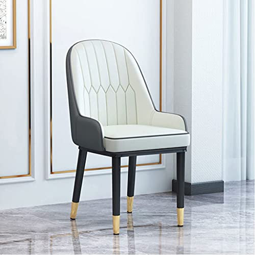 BALAMI Familienbürostuhl Wohnzimmermöbel Design Sessel nordischer Stuhl Metall Ledermaterial Esszimmerstühle Freizeit Computerhocker (Farbe: Einfarbig)