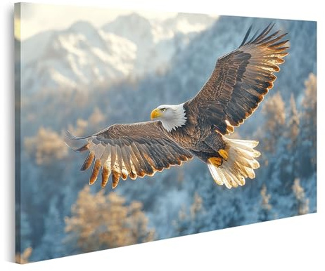 islandburner Bild auf Leinwand Adler im Flug vor verschneiten Bergen für Wohnzimmer Naturfreunde Outdoor-Ausstatter Bilder Wandbilder Poster