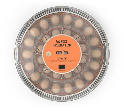 Eier Inkubator Vollautomatisch mit LED Beleuchtung, 30 Eier Brutkasten für Vögel Eier Brutmaschine Vollautomatisch Hühner, Automatische Brutmaschine mit Automatische Eierdrehen und Befeuchtung